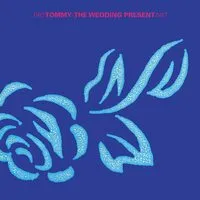 Tommy: 1985-1987 | The Wedding Present