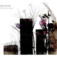 After the City | Bird in the Belly