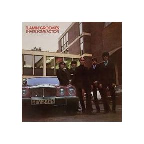 Shake Some Action | The Flamin' Groovies