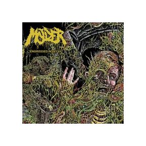 Engrossed in Decay | Molder