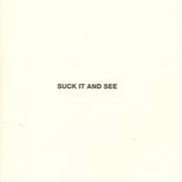 Suck It and See | Arctic Monkeys