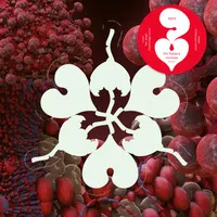 Ovule (Sega Bodega Remix)/Atopos (Sideproject Remix) [RSD 2023] | Bjrk