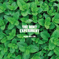 The Mint Experiment - Volume 1 & 2 | J-Felix