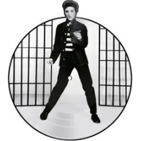 Jailhouse Rock | Elvis Presley