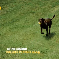 Too late to start again | Steve Marino