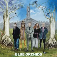 Magpie Heights | Blue Orchids