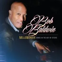 Mellowonder: Songs in the Key of Stevie | Bob Baldwin