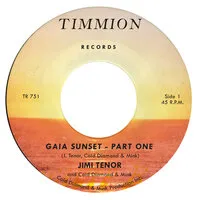 Gaia Sunset | Jimi Tenor with Cold Diamond & Mink