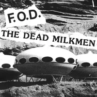 Split | Flag of Democracy/The Dead Milkmen