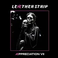 Aeppreciation VII | Lether Strip