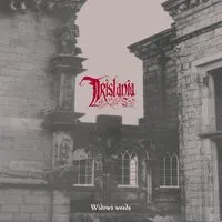 Widow's Weeds & Tristania | Tristania