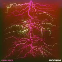 Magic Seeds | Leifur James