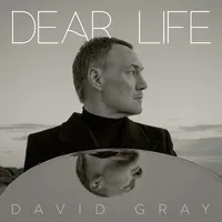 Dear Life | David Gray