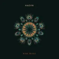 Wide Awake | Haevn