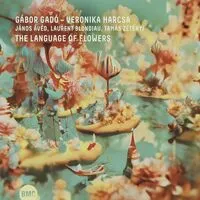 The Language of Flowers | Gabor Gado & Veronika Harcsa Quintet