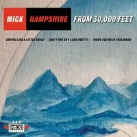 From 30,000 Feet | Mick Hampshire