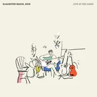 Live at the Cabin | Slaughter Beach, Dog