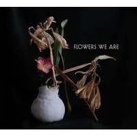 Flowers We Are | Flowers We Are