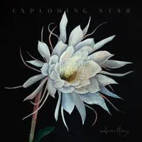 Exploding Star | Heather Maloney